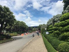 -东芭乐园