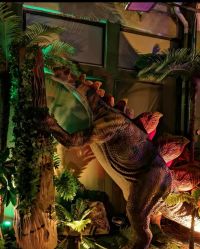 -恐龙探索乐园(磁器口店)