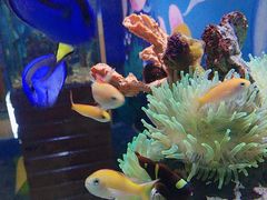 -太平洋海底世界