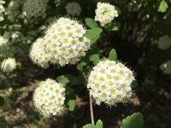 -长春公园(普阳街道)