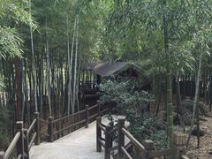 -陶祖圣境风景区