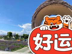 -大理洱海
