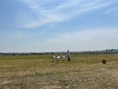 -盐城丹顶鹤湿地生态旅游区