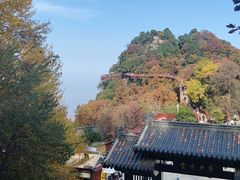 -少华山国家森林公园