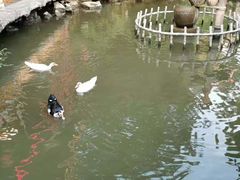 -观澜山水田园