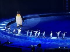 -珠海横琴长隆《卡卡虎奇遇记》