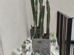 -大树餐厅(红旗街万达店)