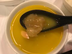 -鲜入围煮花胶鸡海鲜火锅