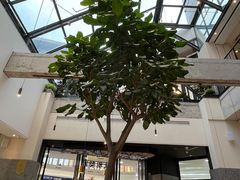 -大树餐厅(红旗街万达店)