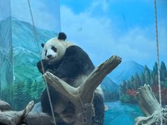 -武汉动物园