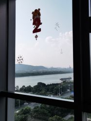 -台湾台婴美月子中心(长沙保利店)