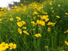 -湖南工业大学(主校区（河西校区）)