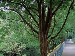 -西湖风景区-江洋畈生态公园