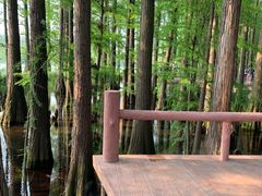 -东湖落雁景区
