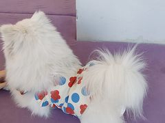 -怪兽屋·羊驼·猫咖·狗咖(俊华广场店)