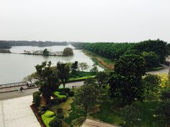 -大湾区中央湿地公园