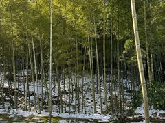 -天龙寺