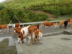 -硗碛藏寨·神木垒景区