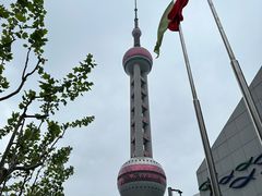 -上海海洋水族馆
