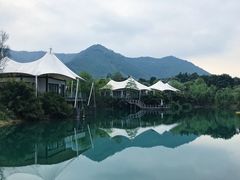 -帐篷客·溪龙茶谷度假酒店