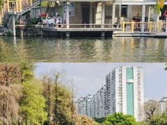 -晓港公园