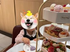 -哈根达斯(芳圆里店)