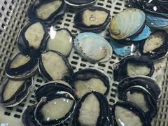 -驻海渔市(置信店)