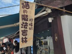 -猫的魔法密林(衣裳街店)