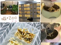 -喵zoo家庭繁育猫舍(尖东智能花园店)