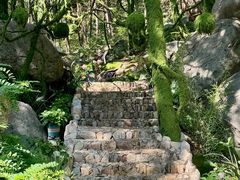 -沂蒙山旅游区云蒙景区(蒙山国家森林公园)