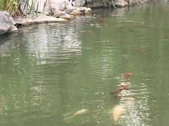 -张家港凤凰山景区恬庄古街