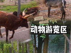 -清迈夜间动物园