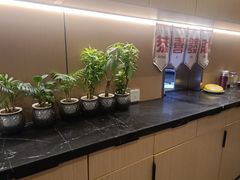 -香港新记茶餐厅(春熙太古里店)