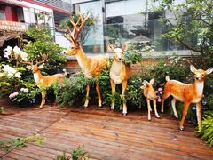 -大隐花事(熊婆婆的花园店)