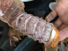 -大锅强·蒸海鲜青岛菜(吾悦广场店)