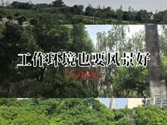 -武汉交通职业学院
