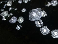 -龙环葡韵住宅式博物馆