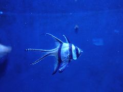 -成都浩海立方海洋公园