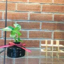 -时尚殿堂·颜SPA