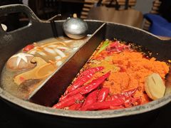 黑牛肝菌汤鸳鸳锅-大龙燚·旷野鲜火锅(广州首店)