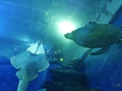 -成都浩海立方海洋公园