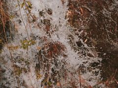 -水绘园