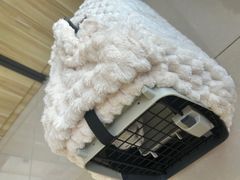 -美联众合24小时·皮肤科·外科·全科诊疗中心(华苑分院)