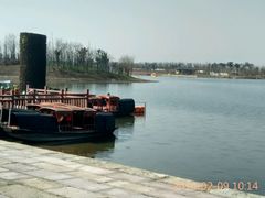 -杭州湾海上花田景区