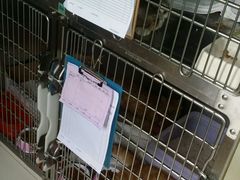 -纳吉亚猫专科动物医院博雅分院