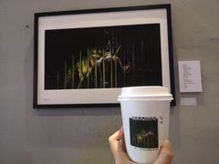-MUSEE CAFE(保利·时光里店)