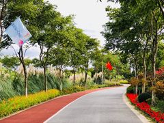 -上海长兴岛郊野公园