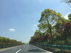 -上海崇明金茂凯悦酒店