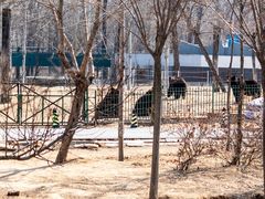 -秦皇岛野生动物园