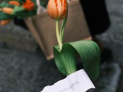 -苏家巷36号公馆